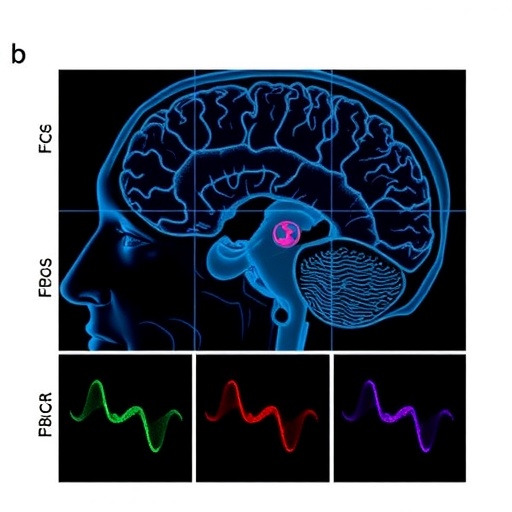 gendered-immune-responses-influence-parkinson’s-disease-progression