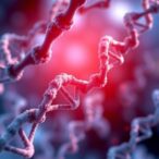 revealing-me/cfs-genetics:-rare-variants-matter