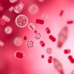 exosomes:-aging-insights,-therapeutic-potential,-and-challenges