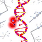 germline-dna-repair-deficiencies-linked-to-early-gi-cancers