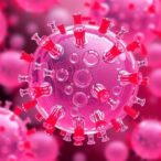 engineered-vesicles-boost-oral-antibiotic-efficiency,-gut-health