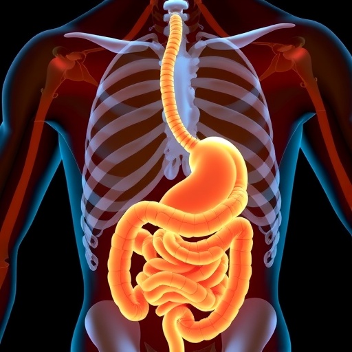 vitamin-d-boosts-muscle-function-in-intestinal-failure-patients