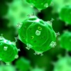 nanoplastics-trigger-unique-toxicity-in-human-gut-cells
