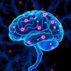 muse-cells-reduce-neurodegeneration-in-parkinson’s-disease