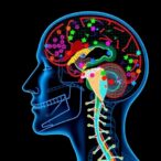 epigenomic-mapping-unveils-nasopharyngeal-carcinoma-insights