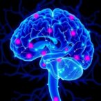 trem2:-key-player-in-neuroinflammation-and-therapy