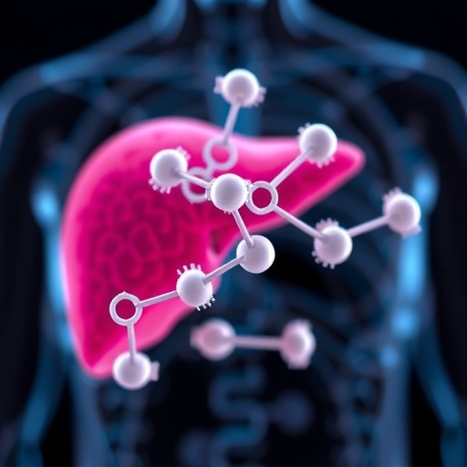zinc-oxide-resveratrol-nanoparticles-protect-liver-from-levofloxacin
