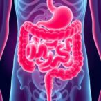 gut-metabolite-influences-salt-sensitivity,-hypertension-risk