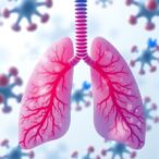 lipidomics-reveals-ceramidase-impact-on-lung-cancer