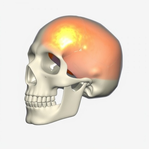 innovative-online-surface-reconstruction-for-intraoperative-cranial-printing
