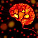 monocyte-lymphocyte-ratio:-a-biomarker-for-diabetic-neuropathy