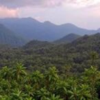 sustainable-equatorial-forest-management:-a-decision-making-framework