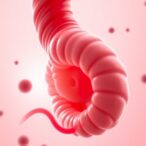 umbilical-cord-milking:-harvesting-cells-for-regeneration