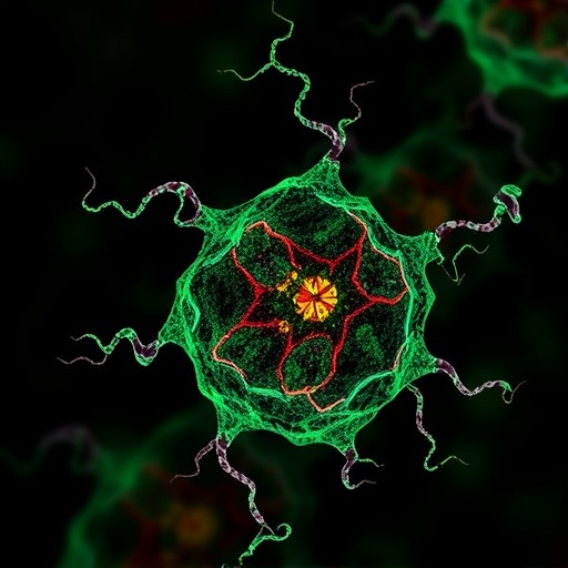 rna-guided-stat3-shapes-t-cell-fate-in-nsclc