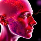 computational-study-reveals-hemodynamics-in-hemifacial-spasm