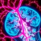 new-insights-on-angiogenesis-and-cell-death-in-spinal-cord-injury