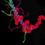 lncrna-ac040169.1-enhances-ovarian-cancer-via-m6a-regulation