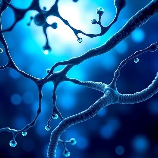 quick-vessel-healing-via-progenitor-endothelial-cell-interaction