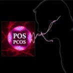 plau-drives-steroid-disruption-and-apoptosis-in-pcos