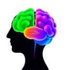 cognitive-recovery-patterns-in-mild-impairment:-hisayama-study