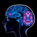 brain-imaging-insights-in-early-onset-precocious-puberty