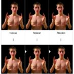 integrating-multimodal-motion-and-attention-for-gesture-recognition