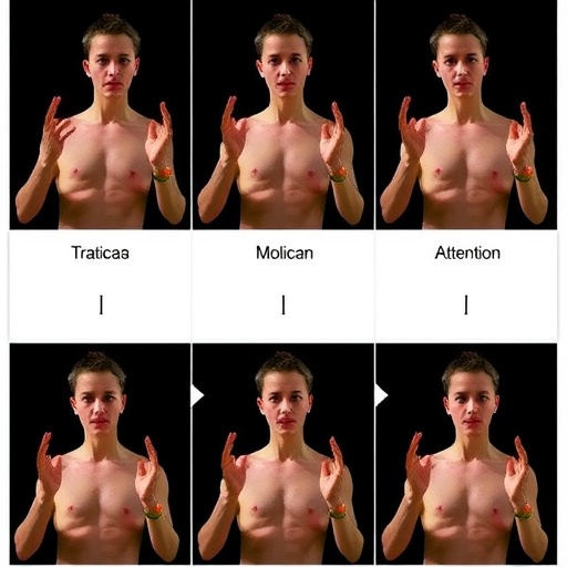 integrating-multimodal-motion-and-attention-for-gesture-recognition