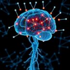 harnessing-neuroscience-to-develop-adaptive-ai