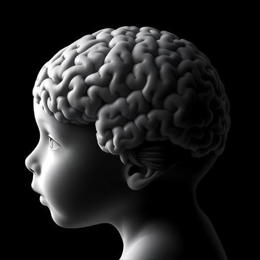 fractal-brain-shapes-reveal-newborn-age,-genetics