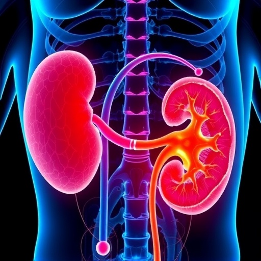 ca2+-role-in-pyroptosis-and-kidney-stones