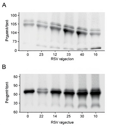dna-methyltransferase-3-alpha-expression-in-rsv-infection