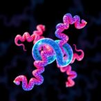 exploring-deep-learning’s-promise-in-protein-ligand-docking