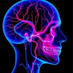 fluid-dynamics-reveal-hemifacial-spasm-vessel-insights