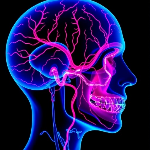 fluid-dynamics-reveal-hemifacial-spasm-vessel-insights