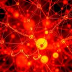 decoding-single-cell-interactions-using-self-supervised-graph-learning