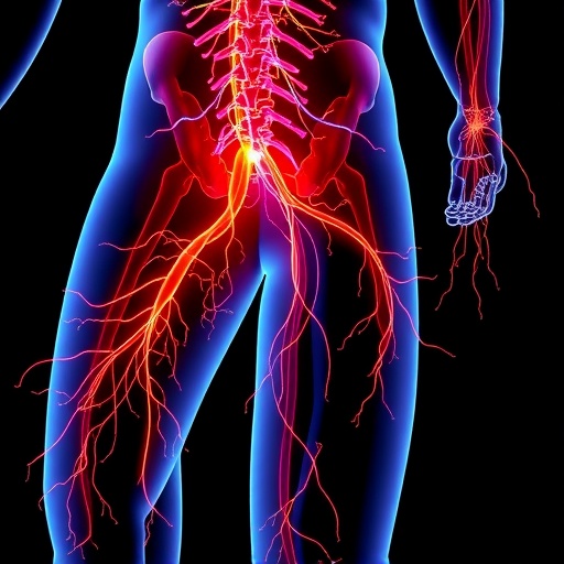 enhanced-nerve-conduits-boost-sciatic-regeneration