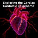exploring-the-cardiac-epigenome:-heart-development-and-disease