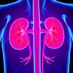 advancements-in-relapsed-rhabdoid-and-kidney-tumours