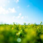 insights-on-eco-friendly-cataract-surgery-practices