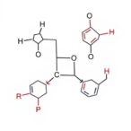 stepwise-catalytic-method-enables-diverse-p(v)-stereochemistry