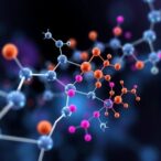 mapping-arginine-reactivity-across-the-human-proteome