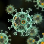 engineered-co-signaling-receptors-enhance-t-cell-precision