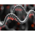 non-coding-rnas:-impact-on-lipid-metabolism-and-atherosclerosis