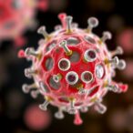 autologous-cd133+-stem-cells-trial-for-asherman