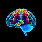 revolutionizing-brain-tumor-detection-with-deep-learning