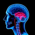 expert-guidelines-for-parkinson’s-deep-brain-stimulation-referral