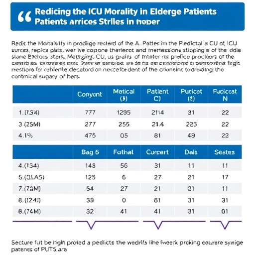 predicting-icu-mortality-in-elderly-stroke-patients
