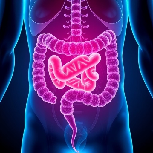 dppc-drives-colorectal-cancer-progression-and-immune-change