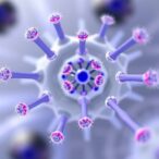 optimizing-aav9-therapy-for-smard1:-safety-and-efficacy