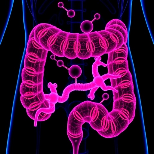 11-amino-acid-peptides-block-colorectal-cancer-immune-evasion